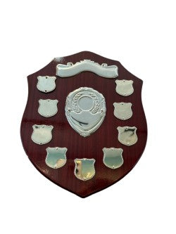 25.5cm tall shield Option 1