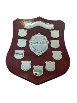 25.5cm Tall Shield Option 2