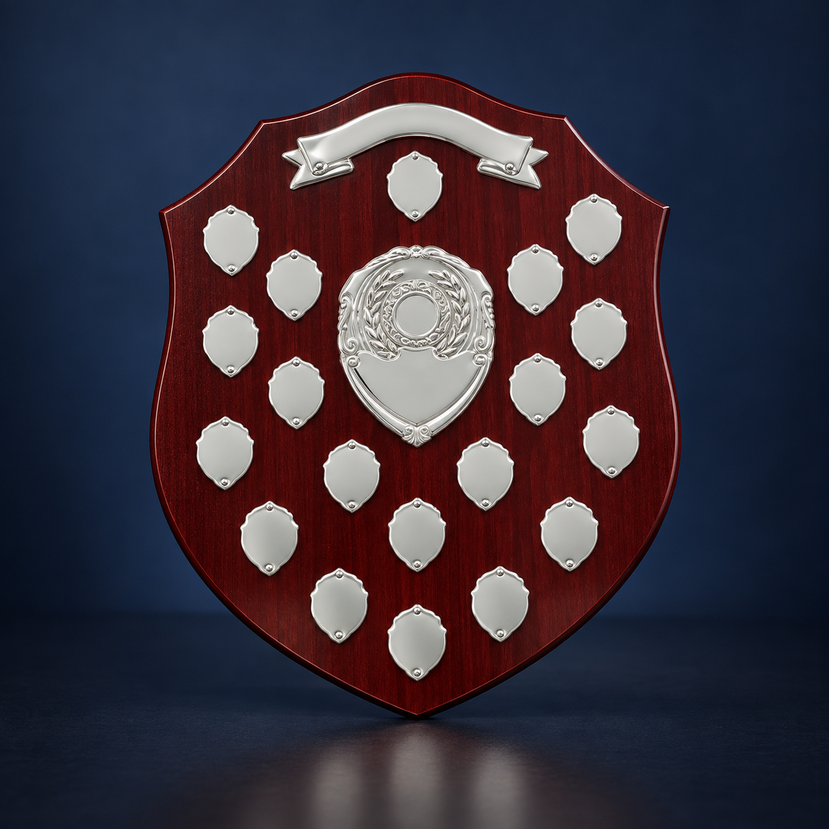40.5cm Tall Shield Option 1