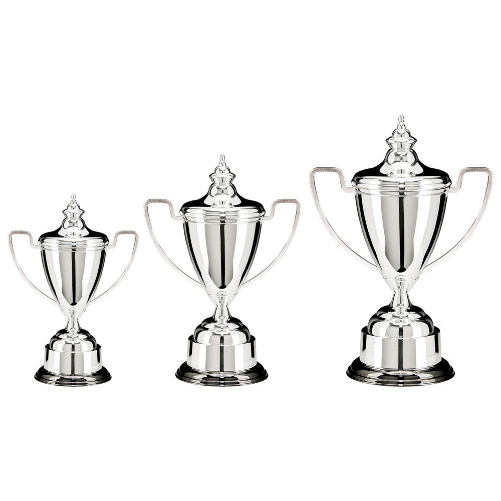 Warwick Electro Plated Nickel Silver Award