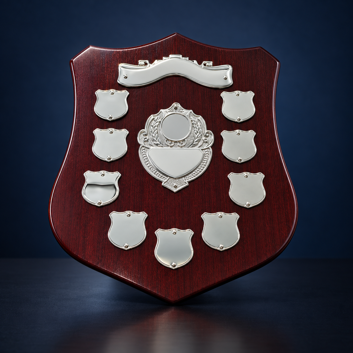 25.5cm Tall Shield Option 2