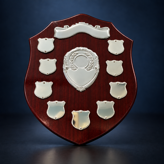 25.5cm tall shield Option 1
