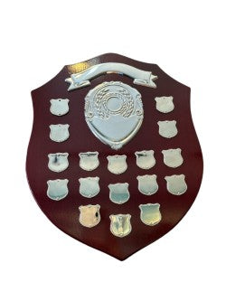 35.5cm Tall Shield Option 1